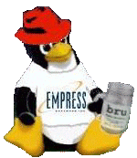 [penguin with a Red Hat, Empress t-shirt and BRU mug]